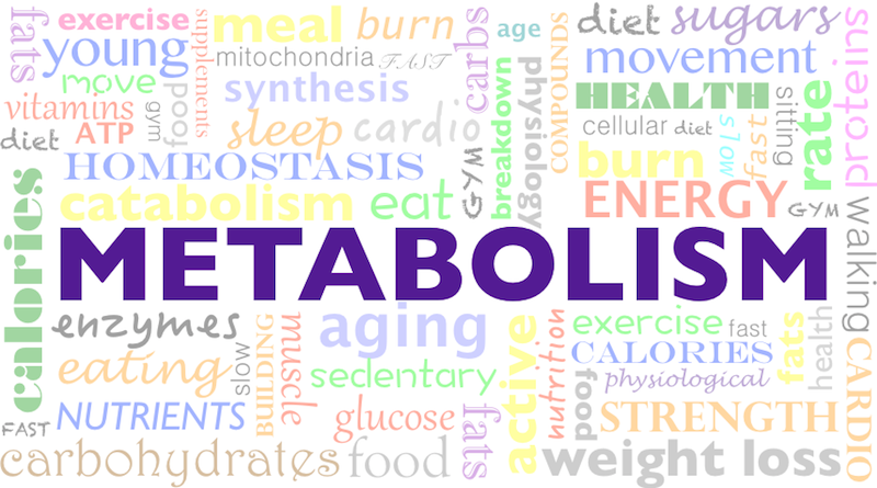 دیابت و متابولیسم