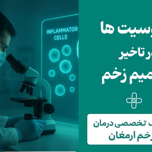 اثر دنوسیت‌ها در تأخیر ترمیم زخم دیابتی